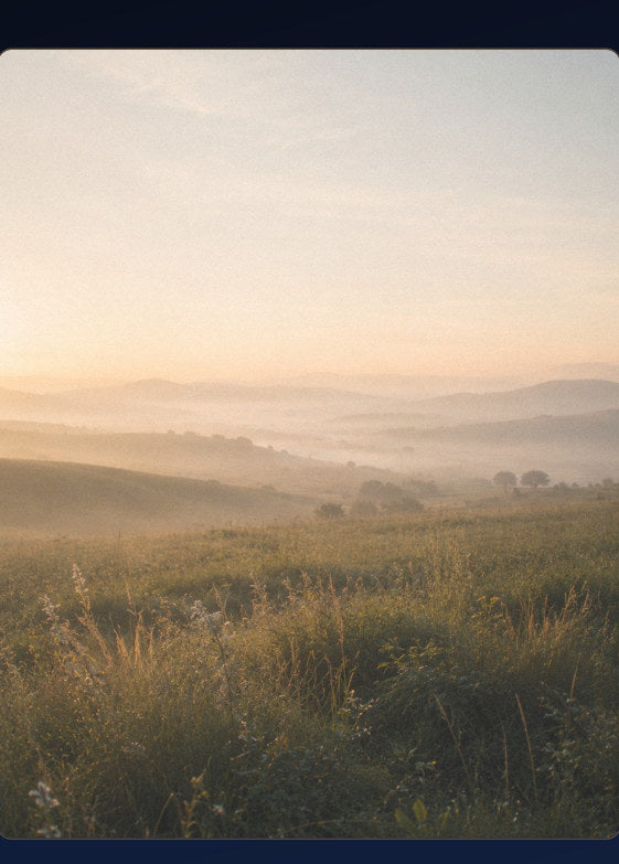 Mountain meadow at dawn page from Where Rest Begins